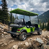Voitures de golf/buggy à essence 4 temps certifiées CE EEC, en promotion, 6 places, vitesse 45 km/h, autonomie 100-120 km, pneus tout-terrain