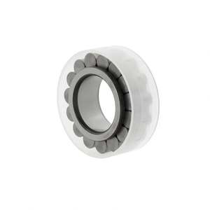 Roulements à rouleaux cylindriques RSL182205-A-XL 25x46.52x18mm mm RSL18 2205-A-XL Roulements à rouleaux complets - Product Image 2