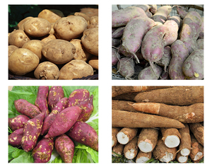 Nouveau style fuge pour le séchage de l'amidon de l'amidon de séchage machine de déshydrateur commercial - Product Image 6