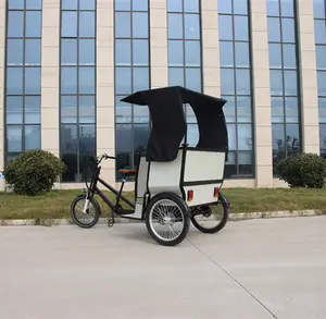 Top Selling Factory Price City Taxi 2-seat Passenger Pedicab Electric Rickshaw