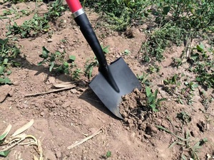 Vente directe d'usine <span class=keywords><strong>mini</strong></span> pelle jardin agriculture Agriculture pelle en acier avec poignée - Product Image 5