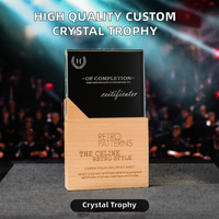 Trophée en verre cristal vierge de haute qualité en gros, personnalisable avec gravure laser UV/3D, plaque sur base en bois, personnage de film/télévision
