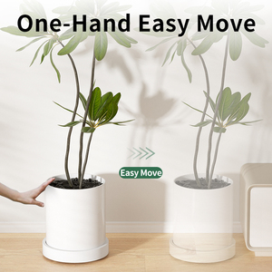 Plateau à <span class=keywords><strong>roulettes</strong></span> pour <span class=keywords><strong>pot</strong></span> de fleurs, soucoupe invisible respirante pour plantes, <span class=keywords><strong>support</strong></span> mobile anti-moisissure pour la décoration de la maison et du jardin - Product Image 5