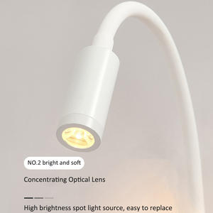 مصباح جداري حديث بخرطوم الشمعدان مصباح معقوف داخلي جسم حديد مثبت على الحائط بجانب السرير مصابيح فنادق - Product Image 5