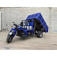 Motocicleta Triciclo de Gran Potencia de 300 cc para Agricultura, Triciclo Motorizado Personalizado de 5 Ruedas con Volquete Hidráulico