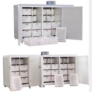 Sprouter automatico di soia a ciclo di produzione breve - Product Image 2