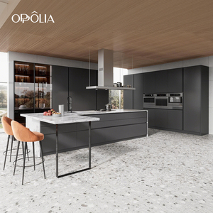 Meubles de cuisine modernes OPPOLIA OEM avec îlot, design sans poignées, grand espace de rangement, laque gris mat moyen, E0 - Product Image 1