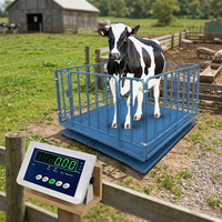Báscula para Animales de 500kg-3000kg con Indicador B19 RS232 para Uso Agrícola OEM/ODM, Acero Resistente, Precisión de 100g