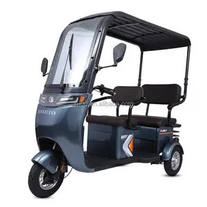 48V/60v封闭式3轮带驾驶室摩托车，带乘客座椅，适用于残疾人人力车电池自行车
