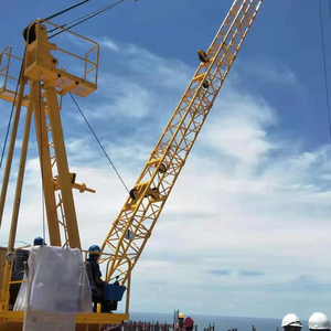 Grúa de Techo WD250 - Product Image 1