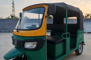 Venta Especial: Triciclo Eléctrico de Dos Plazas, Taxi Urbano de Energía Limpia, E-Trike de Alta Calidad - Product Image 5