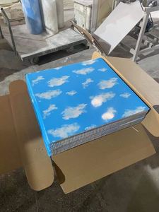 Tấm Trần Pvc Chống Cháy 600X600Mm Tấm Trần Trang Trí Trong Nhà - Product Image 4