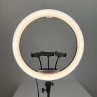 Anneau lumineux LED professionnel de 18 pouces avec température de couleur réglable pour le maquillage, le streaming en direct et la photographie