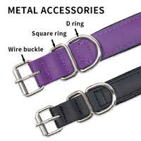 Collier pour chien en plastique robuste, vente directe usine, motif LOGO personnalisé, pour chiens de petite, moyenne et grande taille, pour la promenade et la chasse