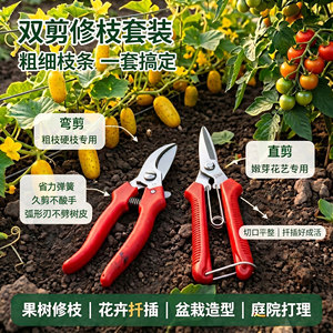 Stainless Steel <b>Garden</b> Pruning Shears <b>Set</b> Straight And Curved Head Household Fruit Pruning <b>Tools</b> Manual Operation - Product Image 5