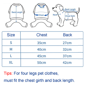 2022 인기있는 품질 방수 새로운 도매 럭셔리 개 옷 비옷 작은 개 - Product Image 6