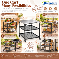 Table de barbecue robuste en acier inoxydable avec étagères de rangement à double lamelles, crochets pour outils, roulettes pivotantes, chariot de barbecue