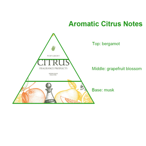 แบรนด์ดัง1783 <span class=keywords><strong>TF</strong></span> Cafe น้ำหอมกลิ่นกุหลาบน้ำมันหอมระเหยเข้มข้นยาวนานสำหรับขายส่งตัวอย่างได้อย่างอิสระ - Product Image 2