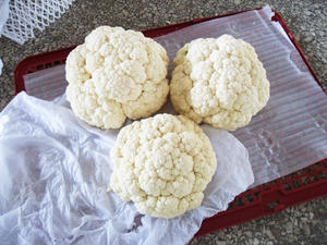 新しい作物新鮮なカリフラワー/ホワイトブロッコリー - Product Image 4