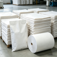 Printable Extensible White Kraft Paper High Tear Resistance Elastic Sack Paper for Dry Mortar Putty Powder Sacks
