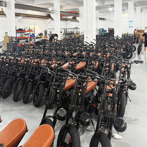 <span class=keywords><strong>Vélo</strong></span> électrique 1000W, cadre en acier haute teneur en carbone, moteur sans balais 500-1200W, moyeu arrière, étanche, écologique, OEM/ODM - Product Image 5