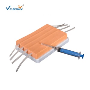 Maniquí de Ciencias Médicas, Almohadilla de Inyección, Modelo de Entrenamiento de Enfermería, Simulación de Inyección - Product Image 2