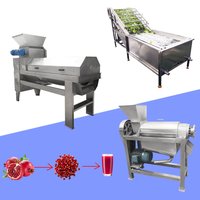 Volledig automatische industriële machine voor het wassen, schillen en sapwinning van granaatappels