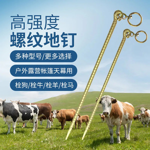 <b>Tent</b> Peg Screw Type Zinc Plated Steel 11 1/2 In Ring Head For Camping <b>Tent</b> And Cattle Tethering - Product Image 1