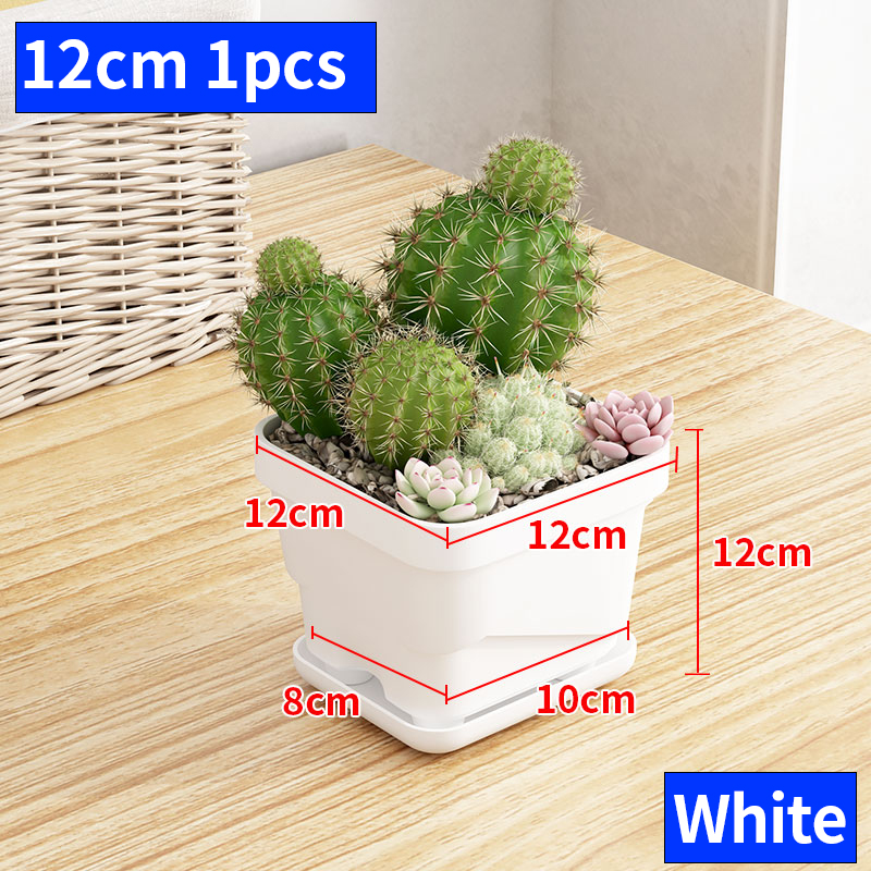 Blanc 12 cm 1 pièces