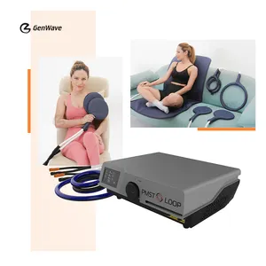 Portable Desktop Pemf Physical Magneto Therapy PMST LOOP PRO Health Care Pain Relief Equipment PEMF Mat