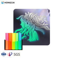 Film de transfert thermique en vinyle 3D lumineux de haute qualité Hongcai, effet gonflé, qui brille dans le noir, pour vêtements