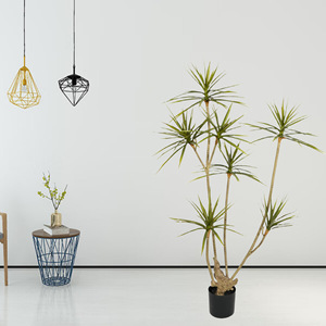 Arbre artificiel de haute qualité, style Dragon Tree, avec pot en fer, type bonsaï, pour salon, en bois Millenium, grand ornement décoratif pour extérieur et <span class=keywords><strong>centre</strong></span> <span class=keywords><strong>commercial</strong></span> - Product Image 3