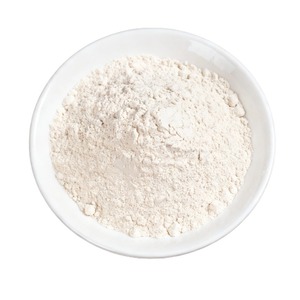 Polvo Crudo de Yam (Shan Yao) Puro y Natural de Origen Chino, Grado Alimenticio, Empaque en Tambor, OEM Disponible - Product Image 1