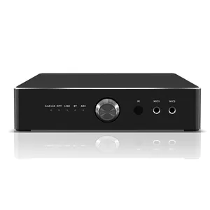 Modello HLQ 5-in-1 sistema audio della famiglia Android Karaoke lettore doppio WiFi 2GB RAM amplificatore in metallo con 600W di potenza per uso KTV