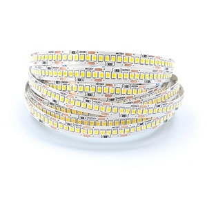 CE Rohs Certified Dimmable LED Strip <b>Light</b> 12V 24V SMD2835 240LEDs 3000k 4000K 6000k IP20 Rating 8mm 10mm on Sale - Product Image 1