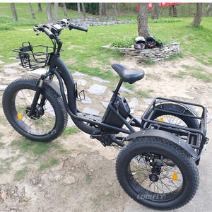 Prix usine 3 roues vélo 48V 750W trois roues adulte cargo vélo électrique avec panier - Product Image 4