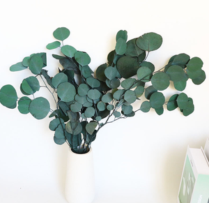 Conservato fiore eterno foglia di mela foglia di eucalipto Bouquet decorazione per la casa per eterno tocco naturale di lunga durata 3-5 anni - Product Image 1