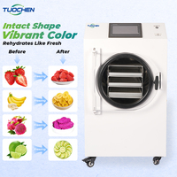 Machine de lyophilisation automatique compacte à commande PLC pour usage domestique, idéale pour fruits et légumes, en gros