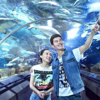Vente directe du fabricant, bon prix, aquarium tunnel, aquarium en acrylique, tunnel pour aquarium, grand format