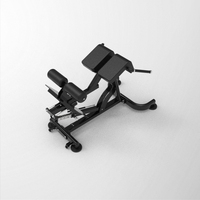 Banc abdominal commercial, appareil de musculation pour le bas du dos, chaise romaine, banc d'hyperextension réglable, banc universel pour sit-ups