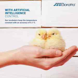Incubateur à œufs automatique Borotto Real 49, électrique silencieux, puissance maximale de 150 W, incubateur à œufs de taille normale de 49 œufs, fabriqué en Italie - Product Image 6