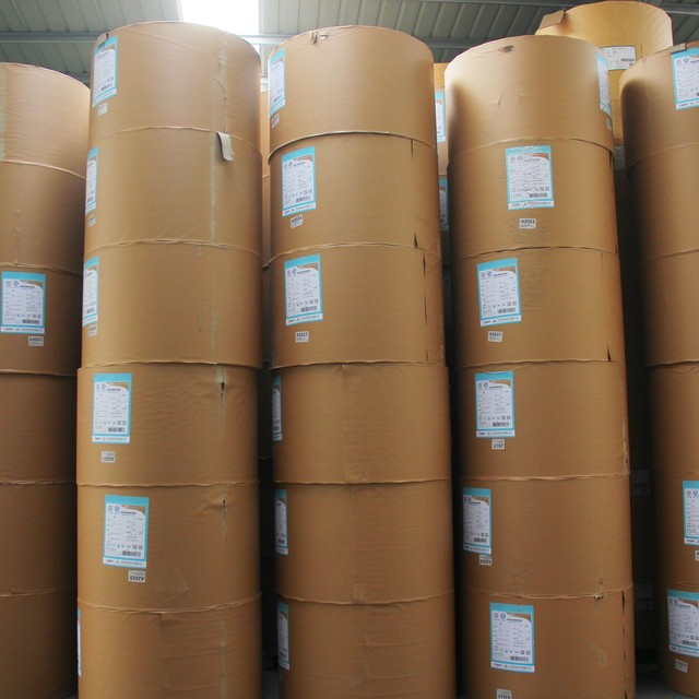 Cardboard Paper Rolls Bulk Logistics Packaging Industrial Grade Recycled Pulp Duplex Board 200gsm 300gsm Customizable Egg