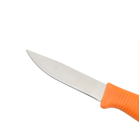 Couteau à poisson de 4 pouces pour trancher et fileter, avec gaine en plastique, pour la pêche, le bateau, le camping, la découpe de viande et de légumes, outils de cuisine d'extérieur