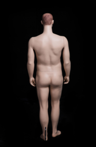 PLUSMAN2 Maniquí Masculino de Cuerpo Completo, Maniquí de Hombre con Piel - Product Image 3