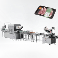 MAP-2000 SHYUTE Máquina de Envasado al Vacío Automática Neumática de Alta Velocidad de Tipo Lineal para Bebidas y Aplicaciones Químicas