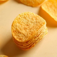 Voedselveilige papieren verpakking voor knapperige gebakken aardappelchips