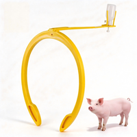 Kit d'insémination artificielle pour truies, pince pour flacon de sperme et support de cathéter profond, pince dorsale pour porcs