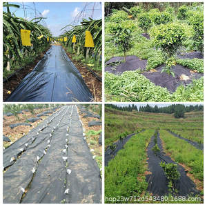 Zwart Plastic Bodembedekker Mulchfolie Anti Grasdoek Grondbedekking Onkruidmat Stof Anti Grasdoek - Product Image 4