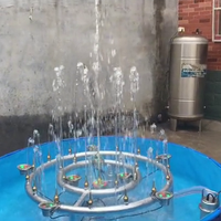 Fontaine musicale d'eau de jardin compacte avec lumières, en acier inoxydable, flottante et dansante, pour extérieur, portable et durable, design gratuit