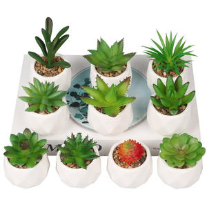 Plante artificielle en pot pour bureau, fausse succulente en PVC souple, <span class=keywords><strong>mini</strong></span> pot en forme de diamant rose, vente flash, livraison instantanée, anti-chute, haute simulation - Product Image 2